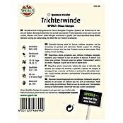 TRICHTERWINDE SPERLI´S BLAUE KÖNIGIN
