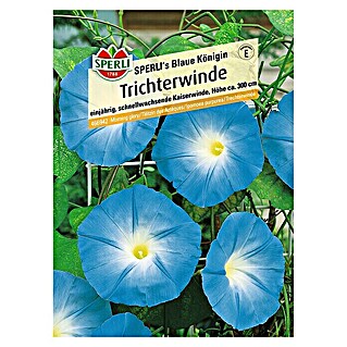 Sperli Blumensamen Kaiserwinde (Ipomoea tricolor, Blau)
