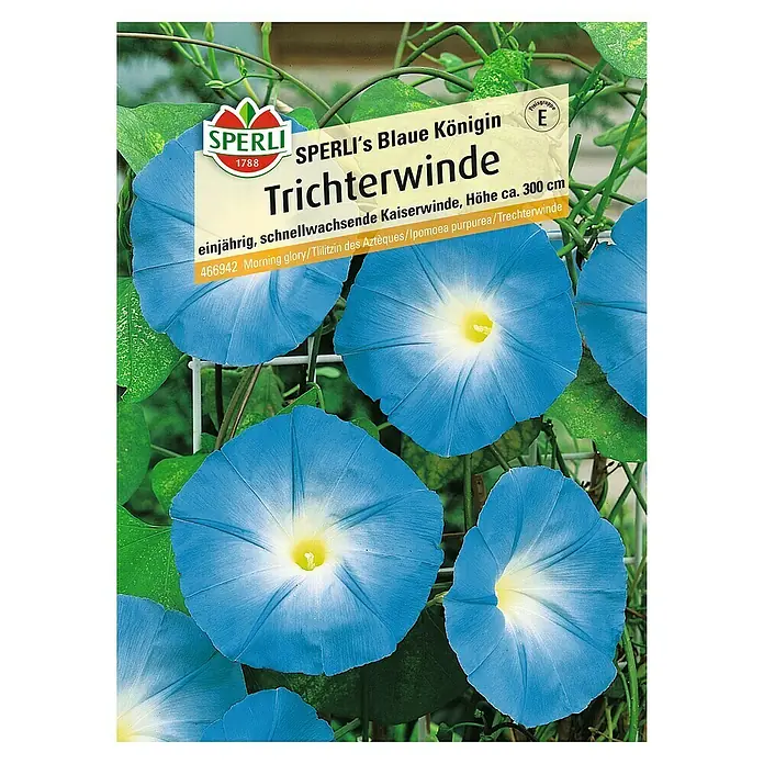 Sperli Blumensamen Kaiserwinde - Ipomoea tricolor, Blau - SPERLIs Blaue Königin Trichterwinde Samenpackung. Einjährig, schnellwachsend, Höhe ca. 300cm, mit leuchtend blauen Blüten und gelber Mitte.