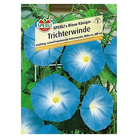Sperli  Blumensamen Kaiserwinde
