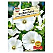 Sperli Blumensamen Bechermalve Mont Blanc (Lavatera trimestris, Weiß) | BAUHAUS