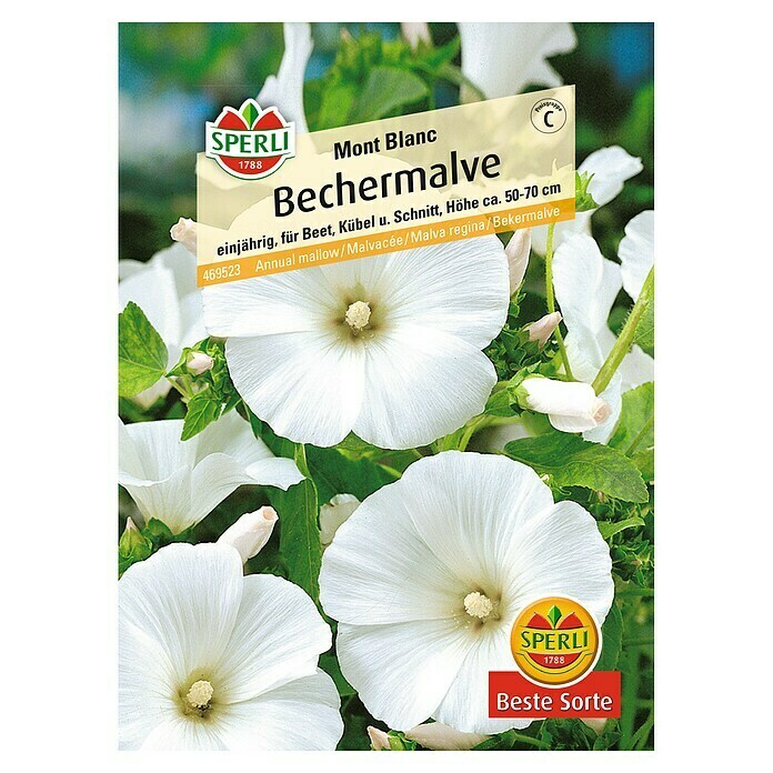 Sperli Blumensamen Bechermalve Mont Blanc (Lavatera trimestris, Weiß)