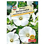 Sperli Blumensamen Bechermalve Mont Blanc (Lavatera trimestris, Weiß) | BAUHAUS