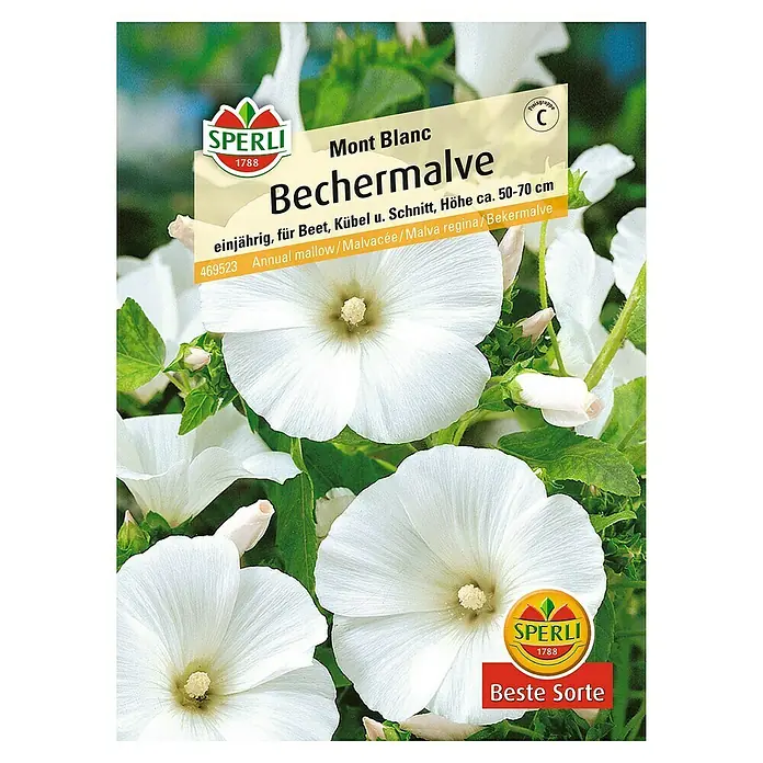 Sperli Blumensamen Bechermalve Mont Blanc - Lavatera trimestris, Weiß - Samenpackung "Mont Blanc Bechermalve" von Sperli, eine einjährige Malve für Beete und Kübel, Höhe ca. 50-70 cm, beste Sorte.