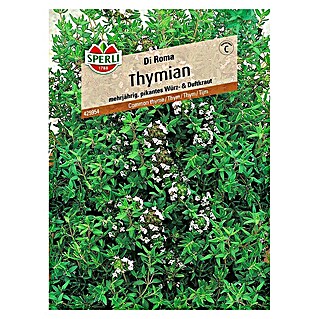 Sperli Kräutersamen Thymian Di Roma (Thymus vulgaris, Saatzeit: Mai - Juni, Erntezeit: Juli - Oktober)
