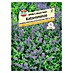 Sperli Blumensamen Katzenminze 