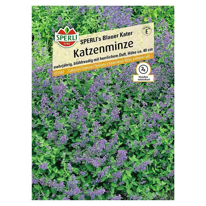 KATZENMINZE SPERLI´SBLAUER KATER