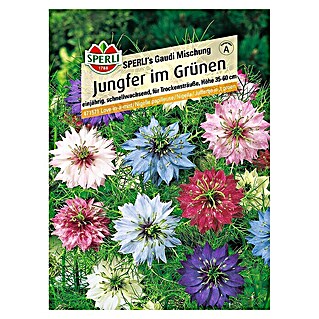 Sperli Blumensamen Jungfer im Grünen (Nigella damascena, Mehrfarbig)