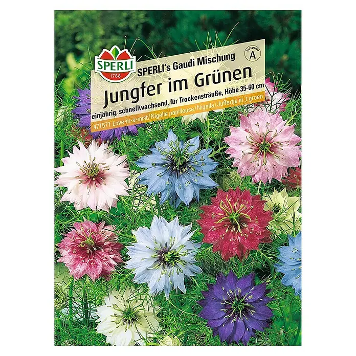 Sperli Blumensamen Jungfer im Grünen - Nigella damascena, Mehrfarbig - SPERLI's Gaudi Mischung Jungfer im Grünen: Einjährige, schnellwachsende Sommerblumenmischung für Trockensträuße, Höhe 35-60 cm.