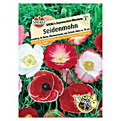 SEIDENMOHN SONNENSCHEIN MISCHUNG