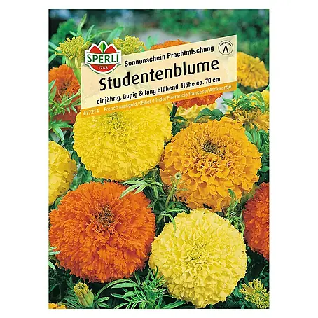 Sperli  Blumensamen Studentenblume