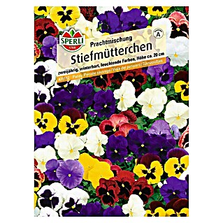 Sperli Blumensamen Stiefmütterchen Prachtmischung (Viola x wittrockiana, Mehrfarbig)