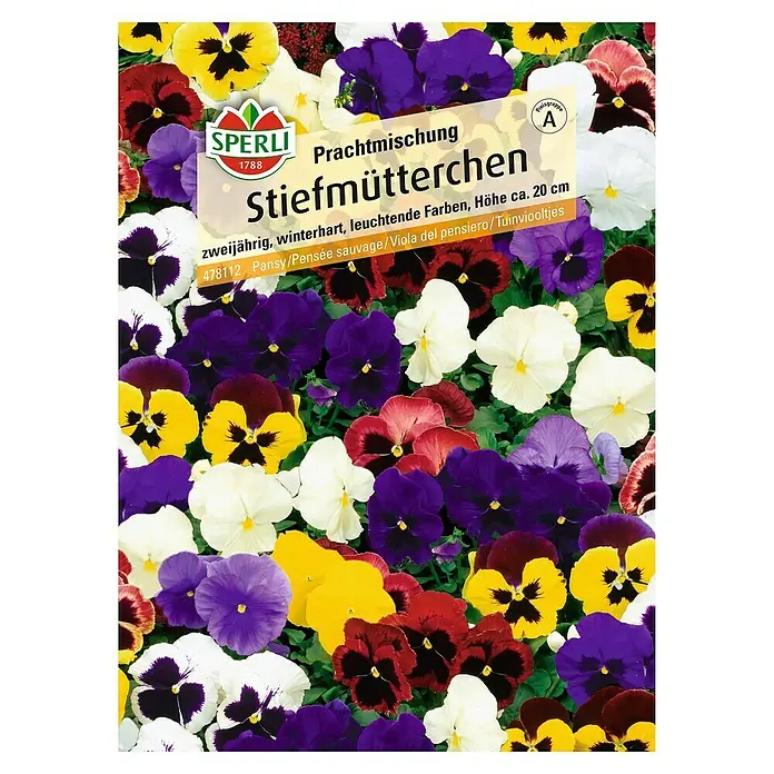 Sperli Blumensamen Stiefmütterchen - Viola x wittrockiana, Mehrfarbig - SPERLI Stiefmütterchen Prachtmischung: Zweijährige, winterharte Blumen in leuchtenden Farben, ca. 20 cm hoch. Ideal für farbenfrohe Beete.