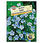 Sperli Blumensamen Lein (Linum grandiflorum, Blau) | BAUHAUS