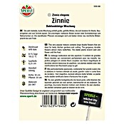 ZINNIE DAHLIENBLÜTIGE MISCHUNG