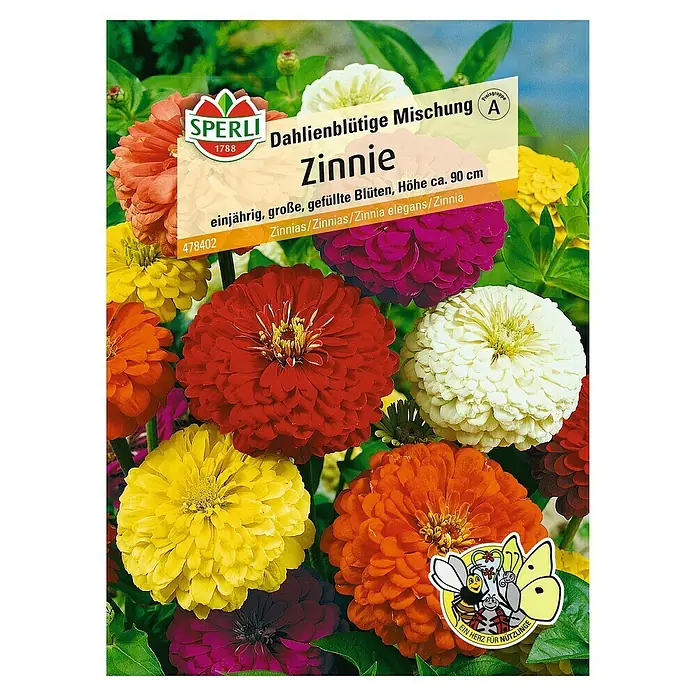Sperli Blumensamen Zinnie dahlienblütig - Zinnia elegans, Mehrfarbig - Dahlienblütige Zinnienmischung von Sperli, ideal für farbenfrohe Sommerbeete. Einjährig, große, gefüllte Blüten in verschiedenen Farben, Höhe ca. 90 cm.