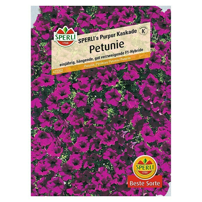 Sperli Blumensamen Petunie (Petunia x atkinsiana) | BAUHAUS