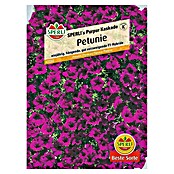 Sperli Blumensamen Petunie (Petunia x atkinsiana) | BAUHAUS