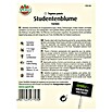 STUDENTENBLUME CARMEN