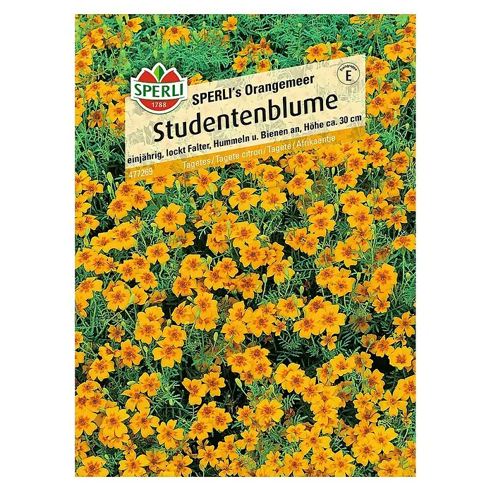 Sperli Blumensamen Studentenblume - Tagetes tenuifolia, Gelb-Orange - SPERLI's Orangemeer Studentenblume: Einjährig, lockt Falter, Hummeln u. Bienen an, Höhe ca. 30 cm. Gelb-orange Blüten auf grünem Hintergrund.