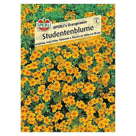 Sperli  Blumensamen Studentenblume