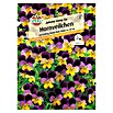 HORNVEILCHEN JOHNNY JUMP UP