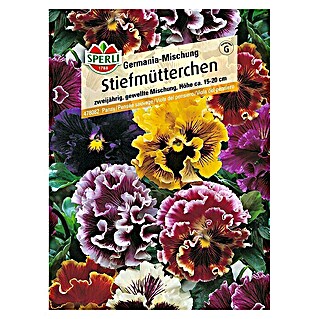 Sperli Blumensamen Stiefmütterchen (Viola x wittrockiana, Mehrfarbig)
