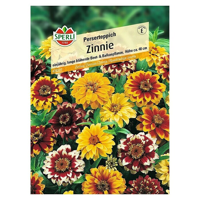 Sperli Blumensamen Zinnie (Zinnia angustifolia, Mehrfarbig) - 2 Stück