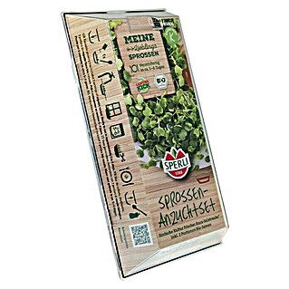 Salatsamen Bio-Salatrauke Sprossen-Anzuchtset (Eruca sativa, Erntezeit: Ganzjährig)