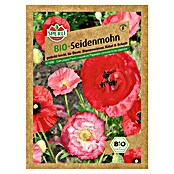 BIO Seidenmohn Mischung