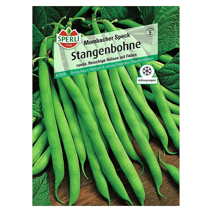 Sperli Gemüsesamen Stangenbohne - Mombacher Speck, Phaseolus vulgaris, Erntezeit: Juli - Bild von Samen für "Mombacher Speck Stangenbohne" von Sperli 1788, mit runden, fleischigen Hülsen, geeignet zum Einfrieren.