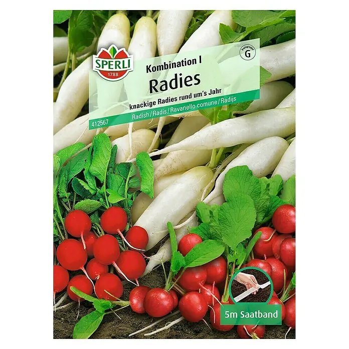 Sperli Gemüsesamen Radies - Kombination I, Raphanus sativus, Erntezeit: Mai - SPERLI Kombination I Radies Saatband: Eine Mischung aus weißen und roten Radieschen für den ganzjährigen Anbau.