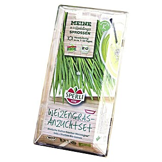 Saatgut Bio-Weizen Sprossen-Anzuchtset (Triticum aestivum)