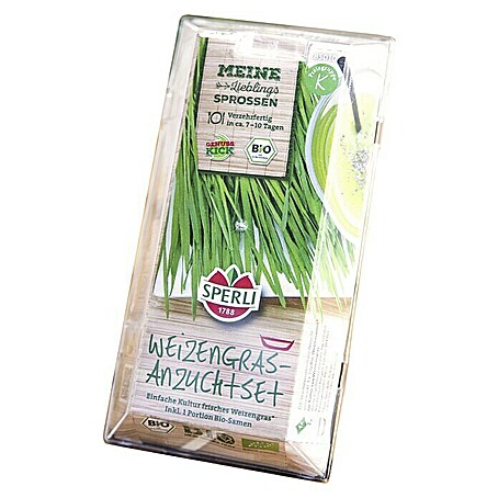 Saatgut Bio-Weizen Sprossen-Anzuchtset