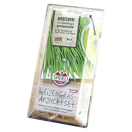 Sperli  Saatgut Bio-Weizen Sprossen-Anzuchtset
