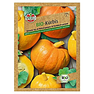 Sperli Gemüsesamen Kürbis (Amoro Bio, Cucurbita maxima, Erntezeit: September)