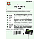 Herbstrübe Plessis F1