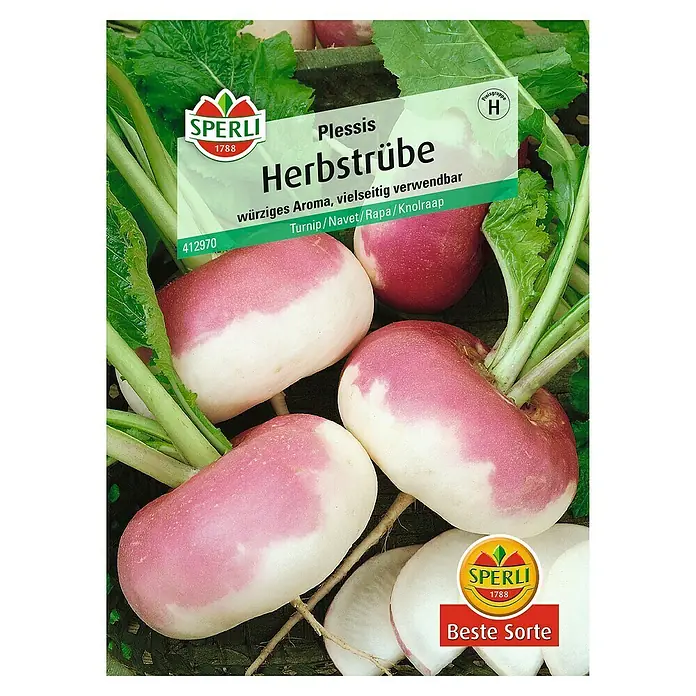 Sperli Gemüsesamen Speiserübe - Brassica rapa, Erntezeit: Juni - Samenpackung für Herbstrübe 'Plessis' von Sperli. Würziges Aroma, vielseitig verwendbar. Ideal für den Herbstanbau.