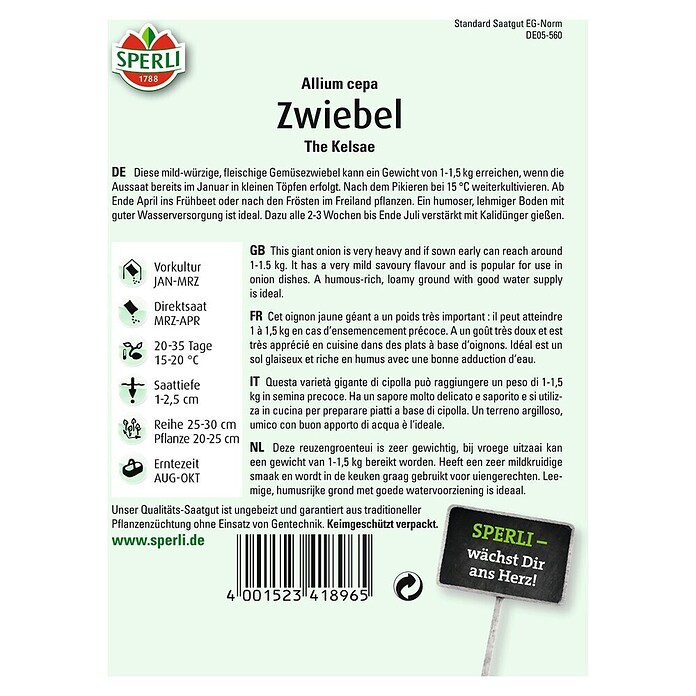 Zwiebel The Kelsae