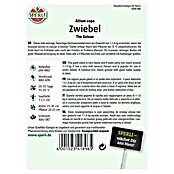 Zwiebel The Kelsae