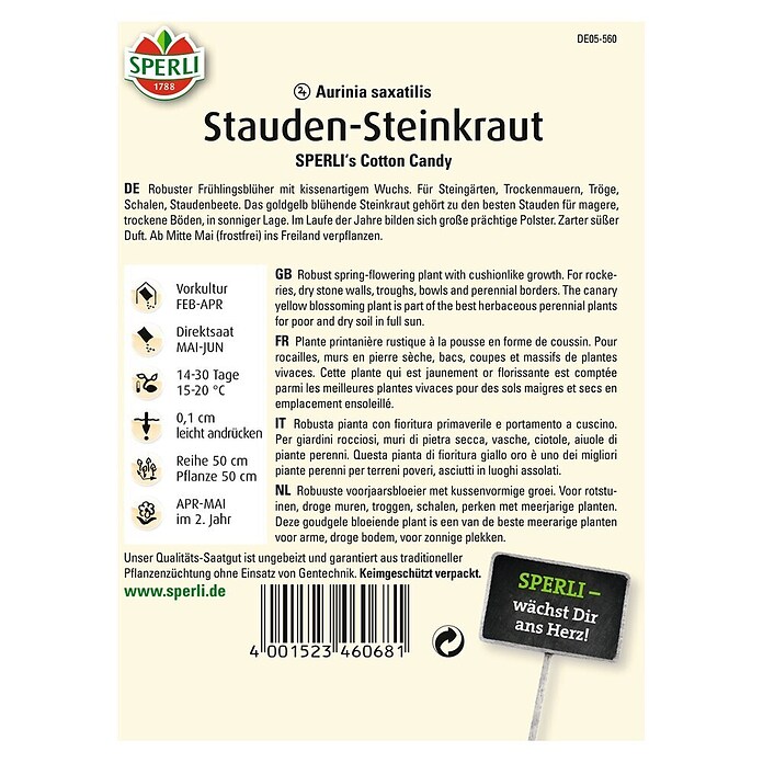 Staudensteinkraut SPERLING´s Cotton Candy