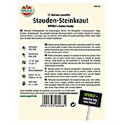 Staudensteinkraut SPERLING´s Cotton Candy
