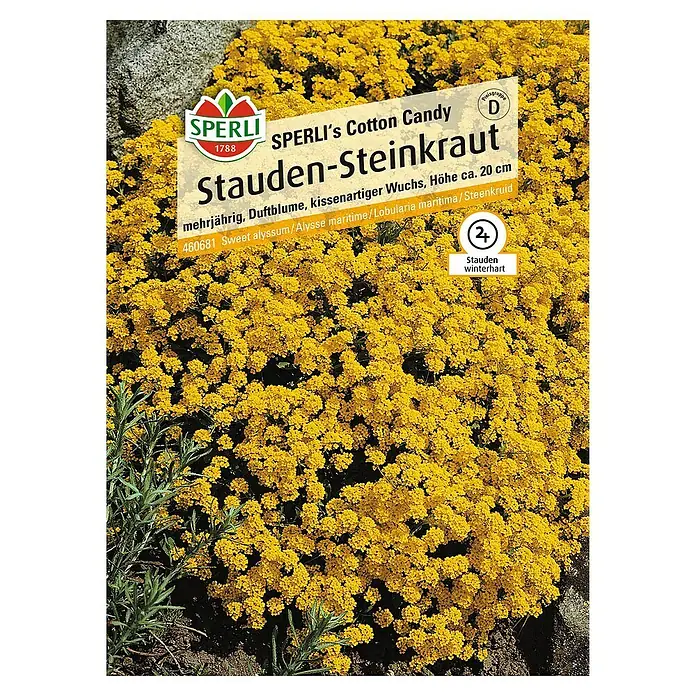Sperli Blumensamen Stauden-Steinkraut - Antirrhinum majus, Saatzeit: Mai - Bild einer Saatguttüte Sperli's Cotton Candy Steinkraut, einer mehrjährigen, duftenden Pflanze mit kissenartigem Wuchs und gelben Blüten.