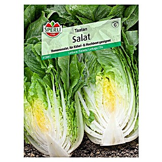 Sperli Salatsamen Romana (Lactuca sativa, Erntezeit: Mai)