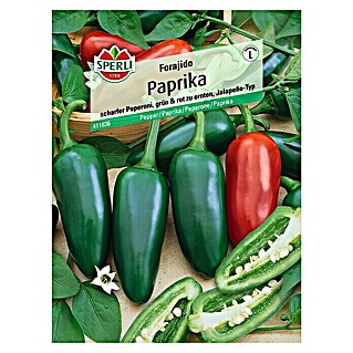 Sperli Gemüsesamen Paprika (Forajido, Capsicum annuum, Erntezeit: Juli)