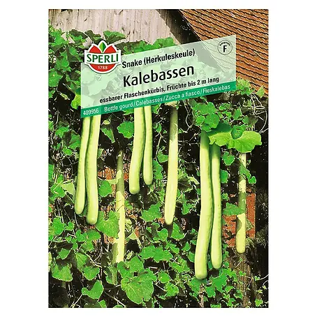 Sperli  Saatgut Kalebassen