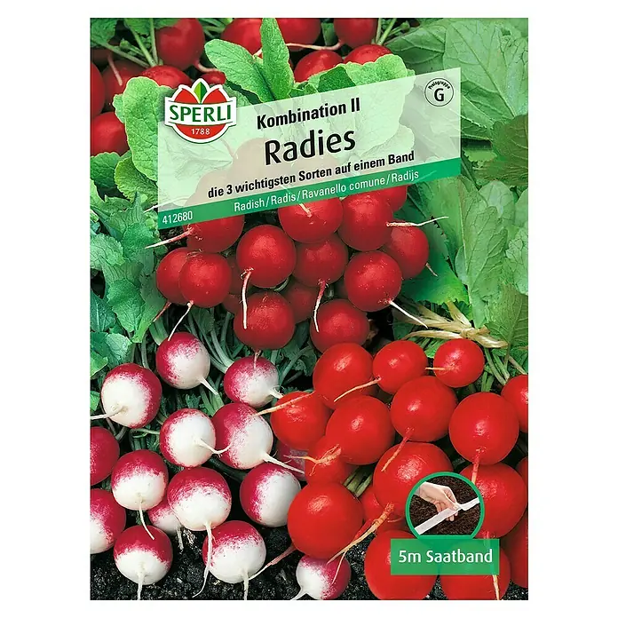 Sperli Gemüsesamen Radies - Kombination II, Raphanus sativus, Erntezeit: Mai - Abbildung der Radieschen "Kombination II" von Sperli, einer Sorte mit drei Varianten auf einem Saatband.