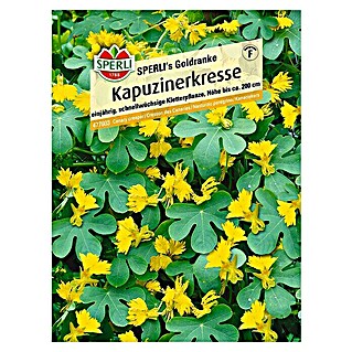 Sperli Kräutersamen Kapuzinerkresse (Goldranke, Tropaeolum peregrinum, Saatzeit: Mai)