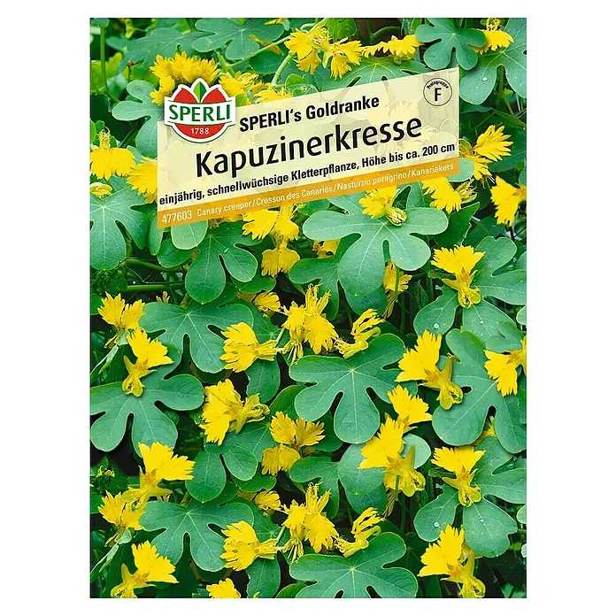 Sperli Kräutersamen Kapuzinerkresse - Goldranke, Tropaeolum peregrinum, Saatzeit: Mai - Samenpackung Kapuzinerkresse: Einjährige, schnellwüchsige Kletterpflanze mit leuchtend gelben Blüten und grünen Blättern.