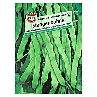 Sperli Gemüsesamen Stangenbohne (Princess à rames type perle, Phaseolus vulgaris, Erntezeit: Juli)
